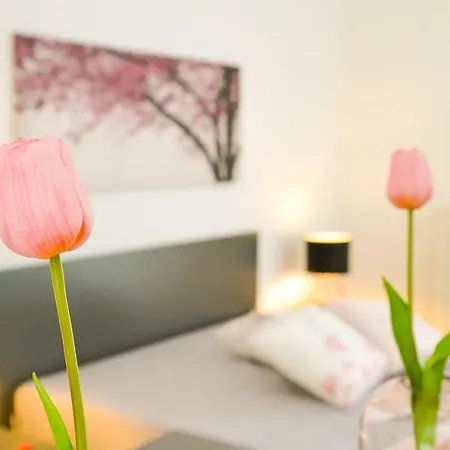 Appartamento Casa Vitula Tradizione Ed Eleganza Alloggio Turistico Grottaglie